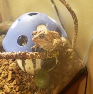 Meet your Posher, Danise